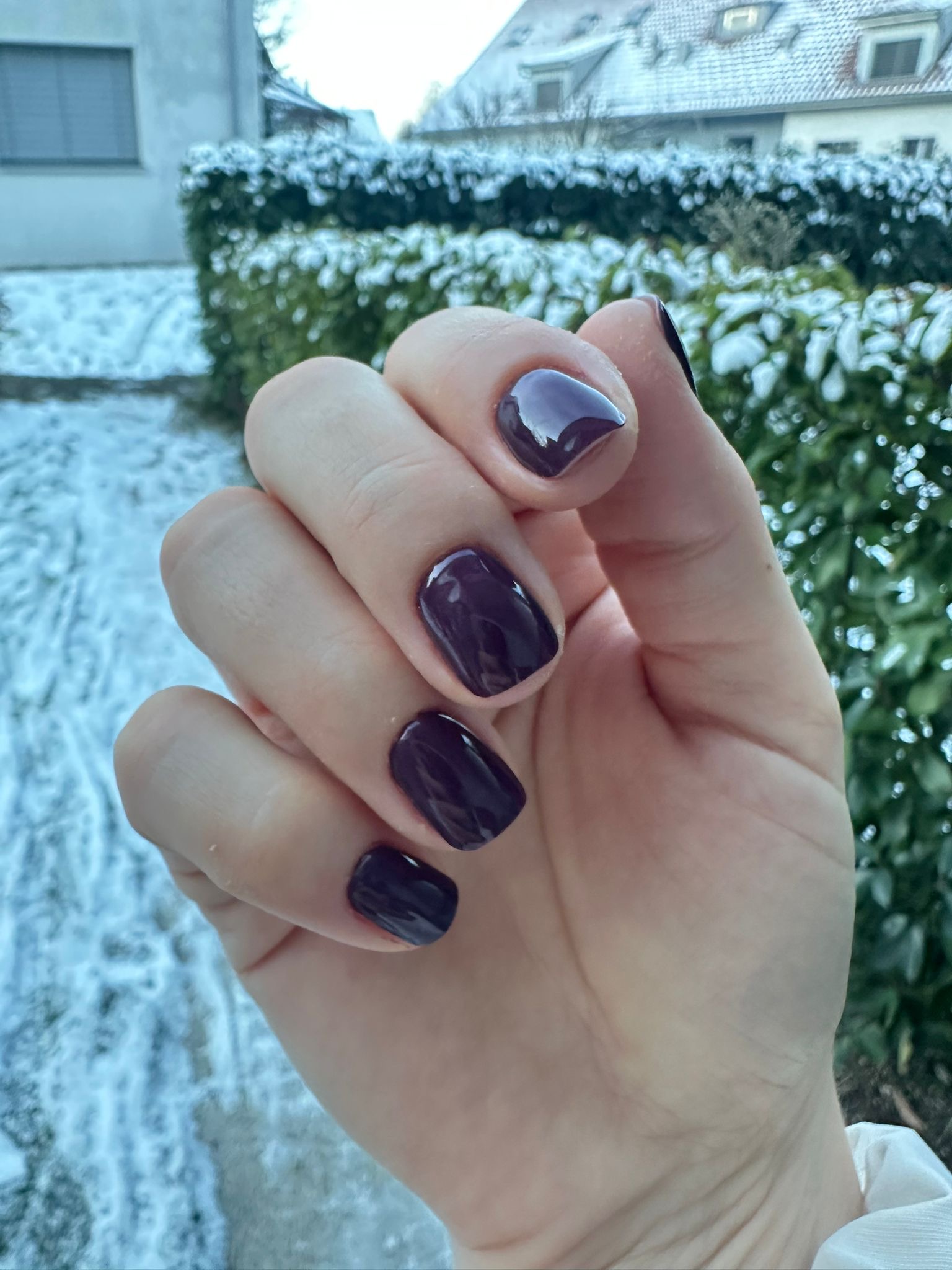 Deep plum manicure